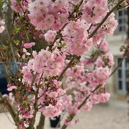 Du Boistillet * La Vergne (Charente-Maritime)